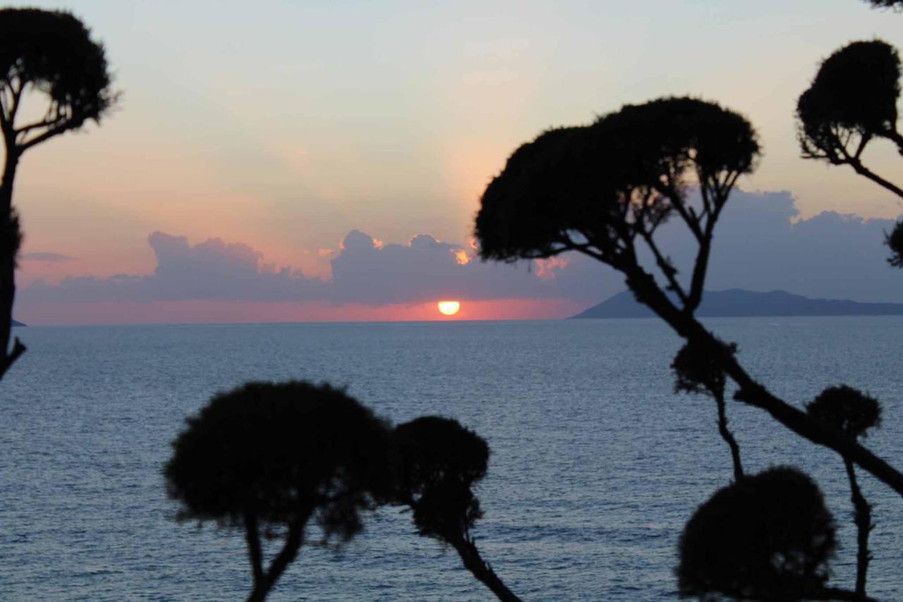 Logas Beach Studios Peroulades  מראה חיצוני תמונה